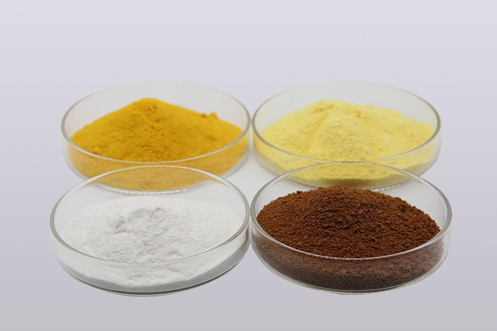 Showcasing Success: How Our Ch